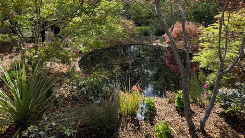 Le jardin (dé)connecté de Pierre-Alexandre Risser est implanté dans les prés du Goualoup. Ce jardin-forêt propice au ressourcement abrite une collection d’érables japonais en hommage à l’un de ses mentors, Paul Maymou, pépiniériste à Bayonne (64) spécialiste de cette essence. ©Y. Haddad